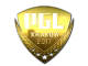 PGL (Gold) | Krakow 2017