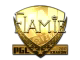 flamie (Gold) | Krakow 2017