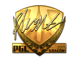 flusha (Gold) | Krakow 2017