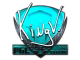 kNgV- (Foil) | Krakow 2017