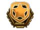 Gambit Esports (Gold) | London 2018