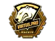 Virtus.Pro (Gold) | London 2018