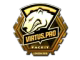 Virtus.Pro (Gold) | London 2018