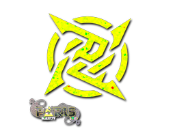 Ninjas in Pyjamas (Glitter) | Paris 2023