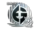 Evil Geniuses (Foil) | 2020 RMR