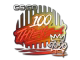 100 Thieves | 2020 RMR