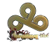 Cloud9 (Gold) | Shanghai 2024