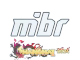 MIBR | Shanghai 2024
