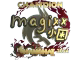 magixx (Gold, Champion) | Shanghai 2024