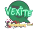 vexite | Shanghai 2024