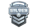 Silver (Foil)