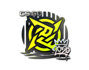 Ninjas in Pyjamas | 2020 RMR