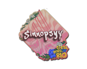 sinnopsyy | Rio 2022