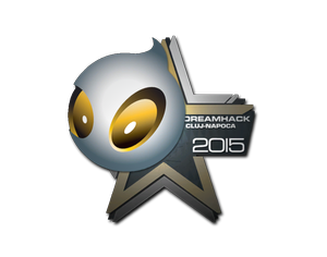 Team Dignitas | Cluj-Napoca 2015