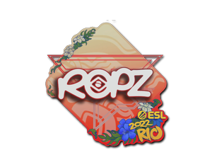 ropz | Rio 2022