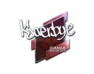 Kjaerbye (Foil) | Boston 2018