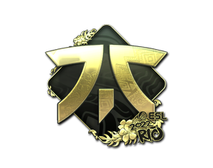 Fnatic (Gold) | Rio 2022
