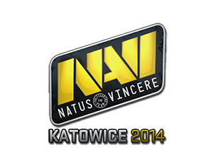 Natus Vincere | Katowice 2014
