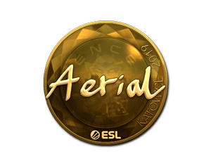 Aerial (Gold) | Katowice 2019