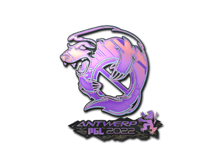 Outsiders (Holo) | Antwerp 2022