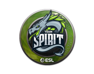 Team Spirit | Katowice 2019