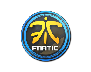 Fnatic | Cologne 2014