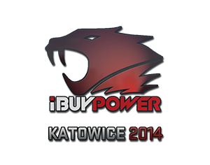 iBUYPOWER | Katowice 2014
