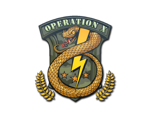 Badge of Service