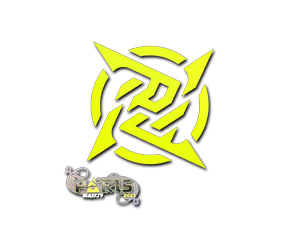 Ninjas in Pyjamas | Paris 2023