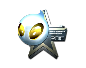 Team Dignitas (Foil) | Cluj-Napoca 2015