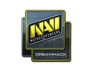 Natus Vincere (Foil) | DreamHack 2014