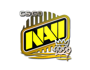 Natus Vincere | 2020 RMR