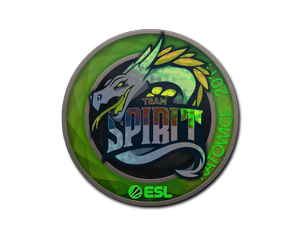 Team Spirit (Holo) | Katowice 2019