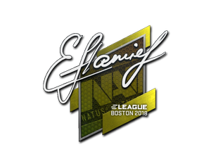 flamie | Boston 2018