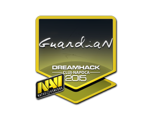 GuardiaN | Cluj-Napoca 2015