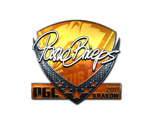 pashaBiceps (Foil) | Krakow 2017