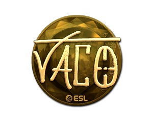 TACO (Gold) | Katowice 2019