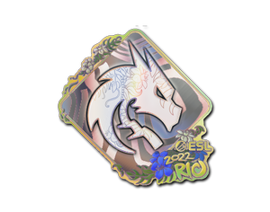 Team Spirit (Holo) | Rio 2022