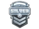 Silver (Foil)