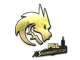 Team Spirit (Gold) | Stockholm 2021
