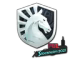 Team Liquid | Stockholm 2021
