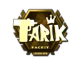 tarik (Gold) | London 2018