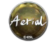 Aerial (Foil) | Katowice 2019