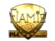 flamie (Gold) | Krakow 2017
