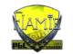 flamie (Foil) | Krakow 2017