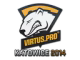 Virtus.Pro | Katowice 2014