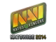 Natus Vincere (Holo) | Katowice 2014