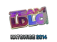 Team LDLC.com (Holo) | Katowice 2014
