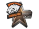 Virtus.Pro | Cluj-Napoca 2015
