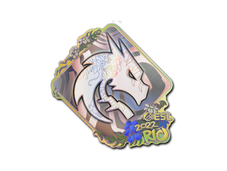 Team Spirit (Holo) | Rio 2022